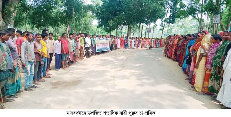 ​হবিগঞ্জে চা শ্রমিকের হয়রাণির প্রতিবাদে মানববন্ধন ও বিক্ষোভ
