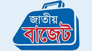 থাকছে বিশাল ভর্তুকি ও প্রণোদনা