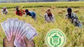 কৃষিঋণে নতুন সুবিধা পেলেন কৃষকরা