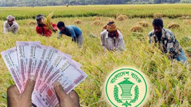 কৃষিঋণে নতুন সুবিধা পেলেন কৃষকরা
