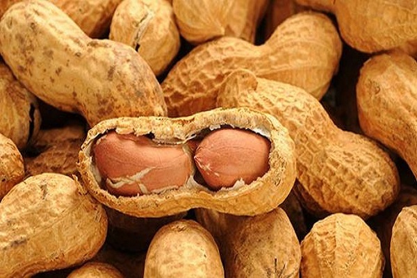 বাদাম খাওয়ার ৭ উপকার