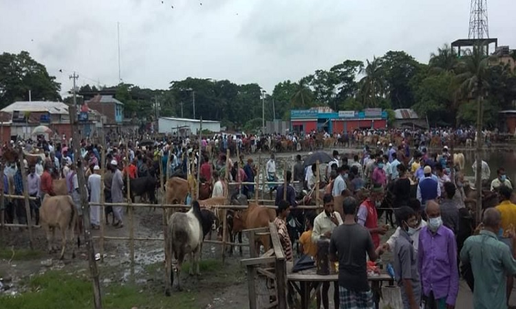 ​গোসাইরহা‌টে স্বাস্থ্যবি‌‌ধি না মে‌নেই চল‌ছে বিশাল গরু ছাগ‌লের হাট