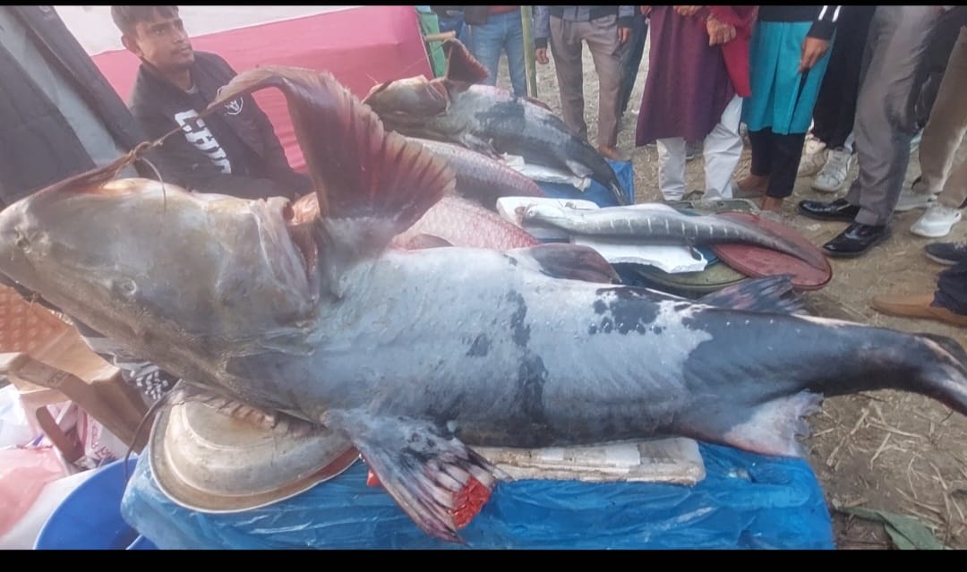 শেরপুরে শত বছরের ঐতিহ্যবাহী মাছের মেলা