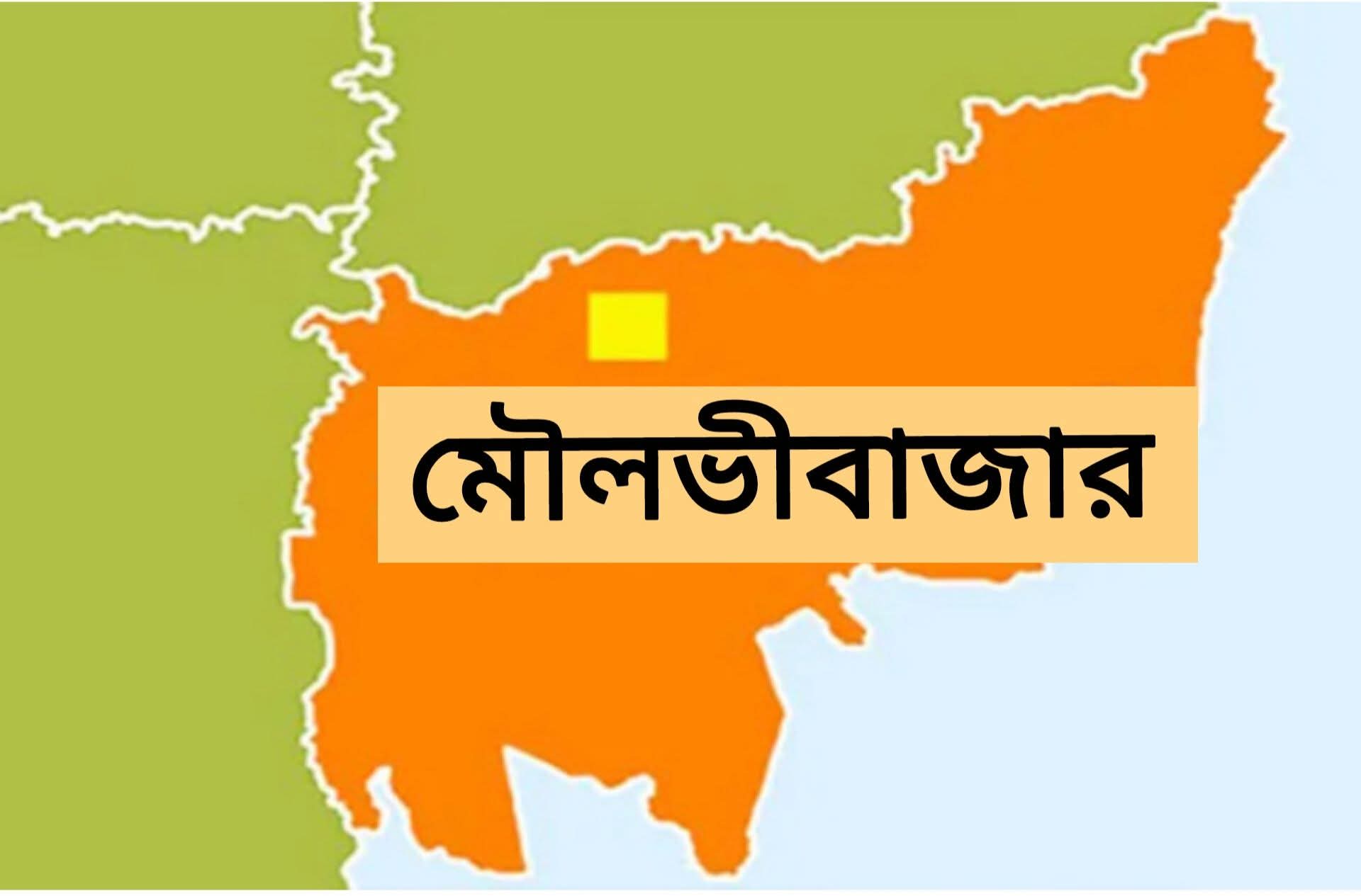 মৌলভীবাজারে বিএনপির ১০ নেতাকে অব্যাহতি