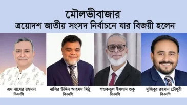মৌলভীবাজারের ৪টি আসনে ধানের শীষের ভূমিধস বিজয়ের নেপথ্যে