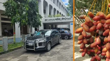 সৌদির উপহার খেজুর নিয়ে বিভ্রান্তিকর ও ভিত্তিহীন অপপ্রচার করা হচ্ছে- জেলা প্রশাসক