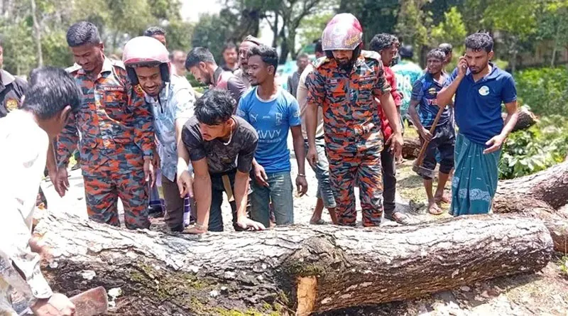রাজনগরে কালবৈশাখী ঝড় ও শীলা বৃষ্টির তান্ডব